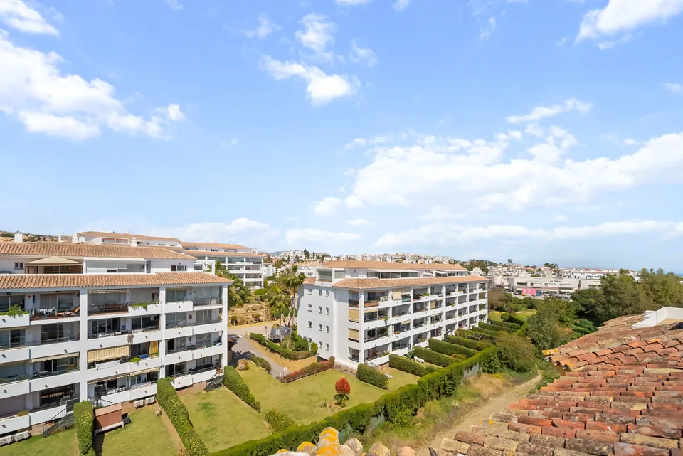 Sea view, Suncoaster · 2024 · shoot 2