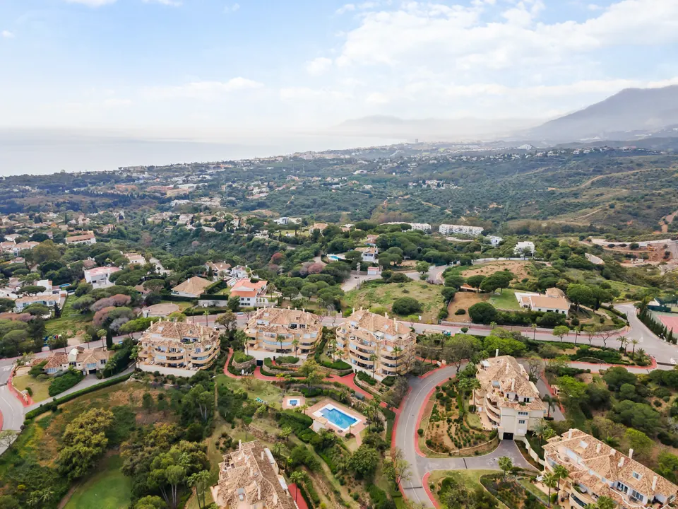 Aerial view, Suncoaster · 2024 · shoot 3