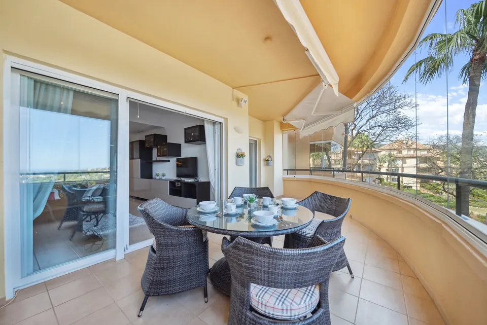 Terrace, Suncoaster · 2024 · shoot 3