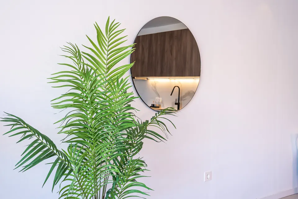 Detail, Mila Homes · 2024 · shoot 2