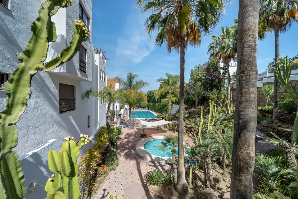 Garden, Mila Homes · 2024 · shoot 9