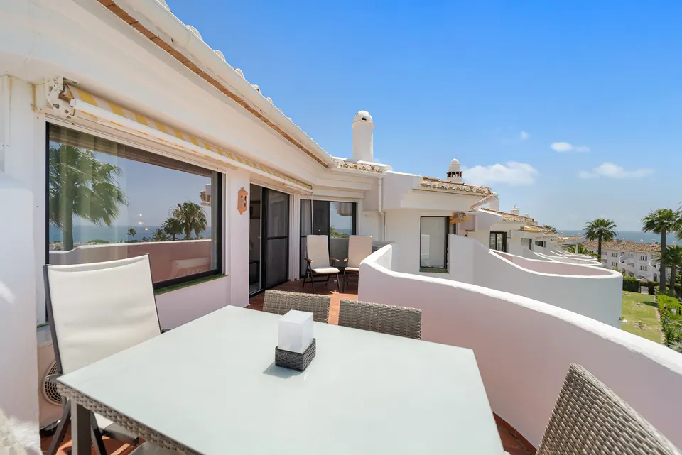 Terrace, Suncoaster · 2024 · shoot 6