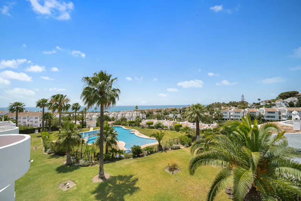 Sea view, Suncoaster · 2024 · shoot 6