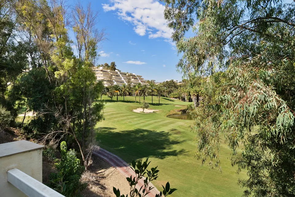 Garden, WL Costa Properties · 2024 · shoot 18