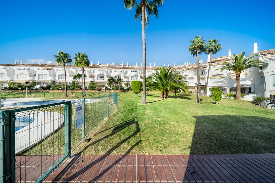 Garden, Suncoaster · 2024 · shoot 8