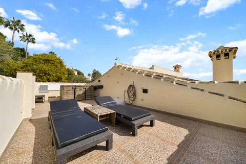 Terrace, Suncoaster · 2024 · shoot 1