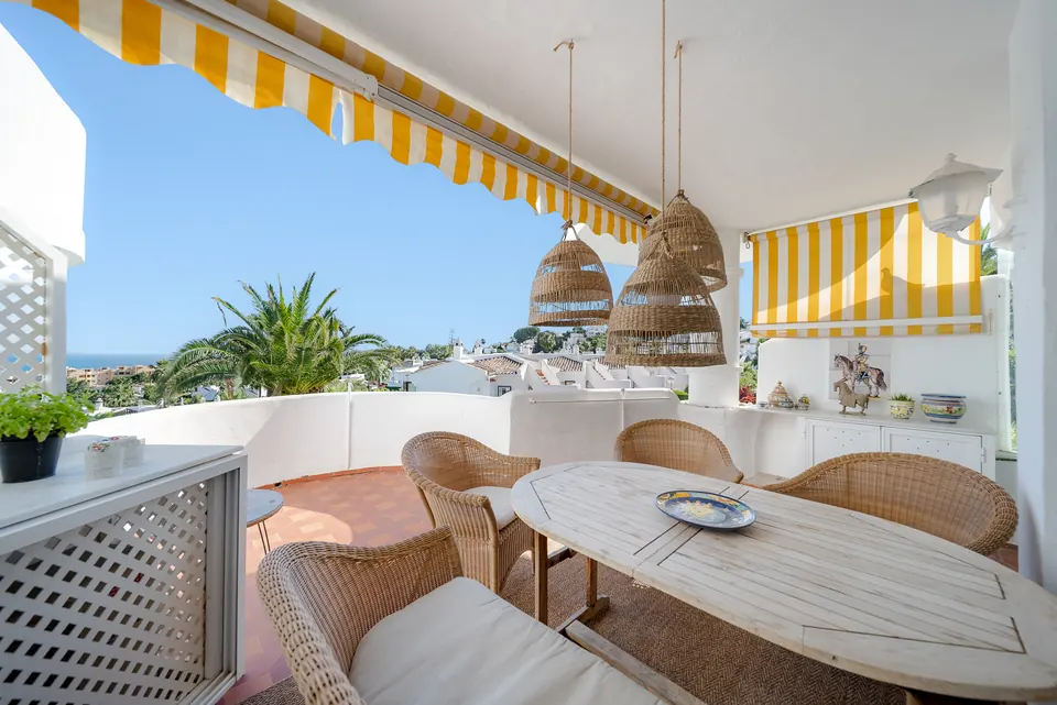 Terrace, Suncoaster · 2025 · shoot 3