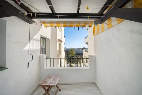 Terrace, Suncoaster · 2025 · shoot 4