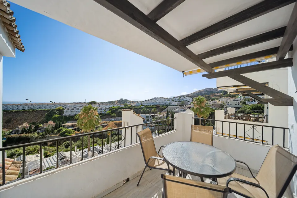 Terrace, Suncoaster · 2025 · shoot 4