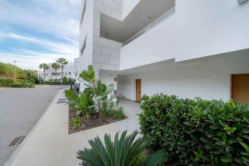 Garden, Utopía Coast Properties · 2025 · shoot 6