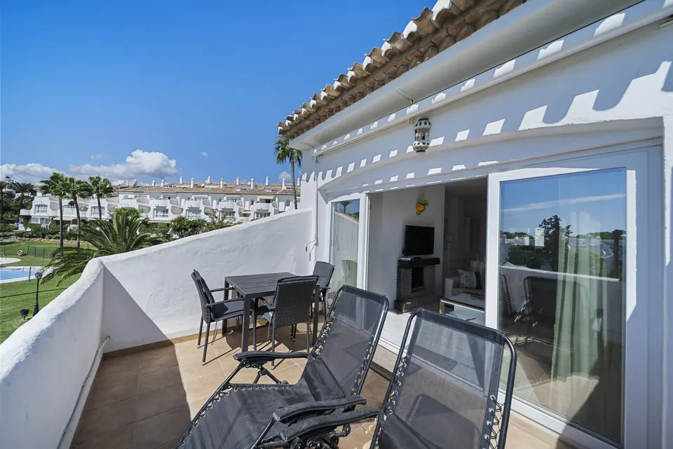 Terrace, Suncoaster · 2025 · shoot 5