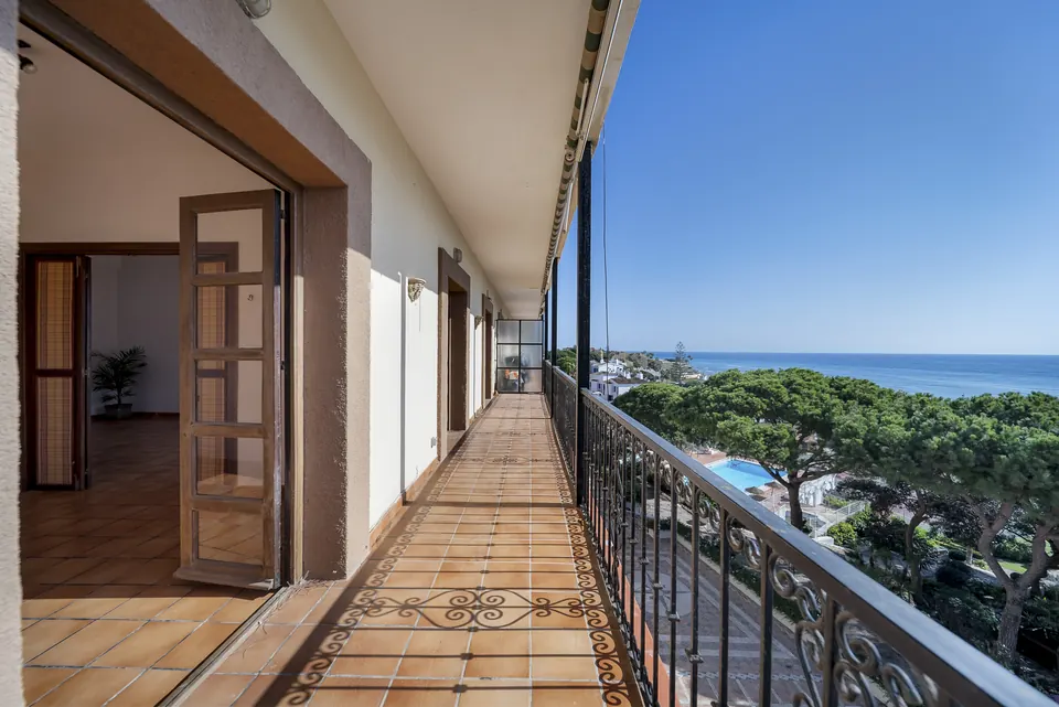 Terrace, Private owner · 2025