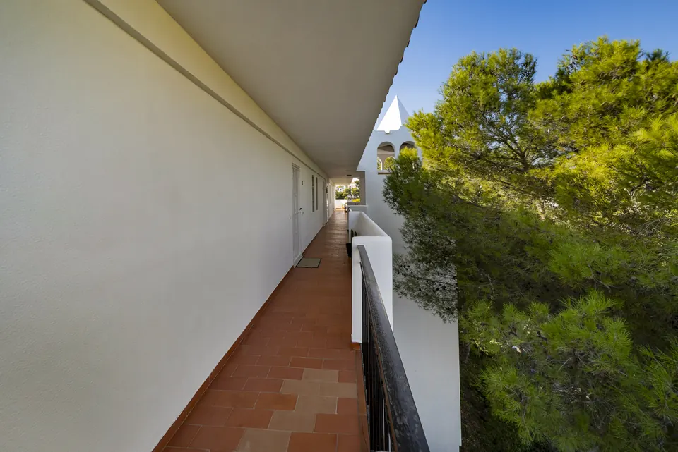 Terrace, Private owner · 2025