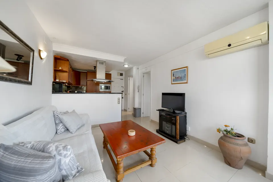 Open plan living and dining, WL Costa Properties · 2025 · shoot 28
