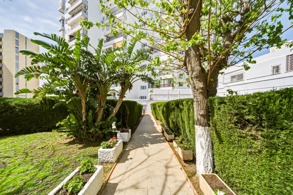 Garden, WL Costa Properties · 2026 · shoot 14