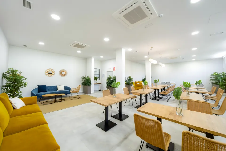 Open plan living and dining, Property · 2026