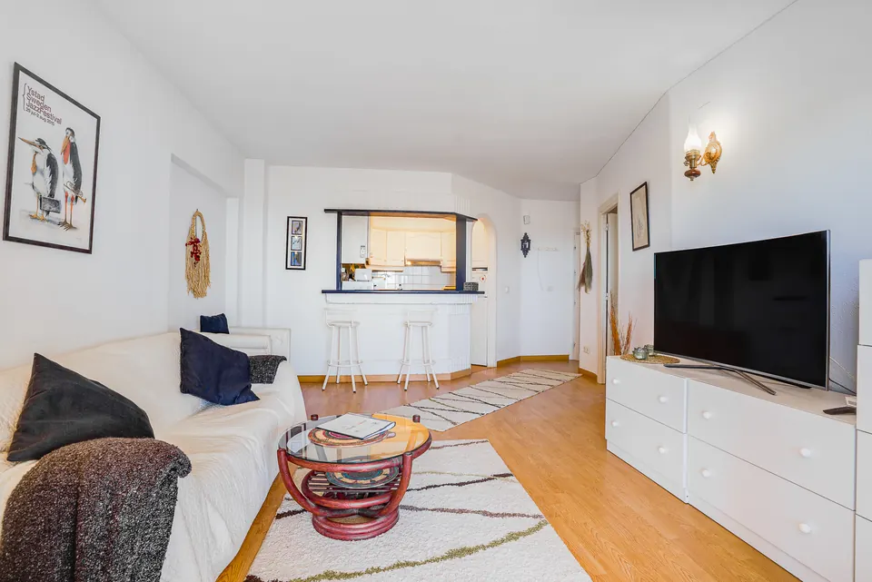 Open plan living and dining, Suncoaster · 2023 · shoot 1