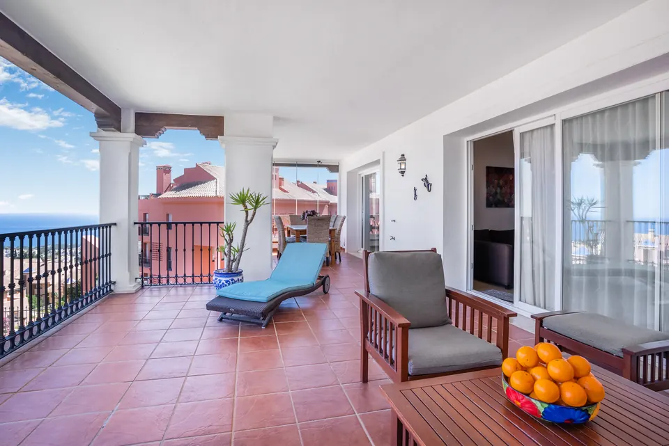 Terrace, Suncoaster · 2023 · shoot 3