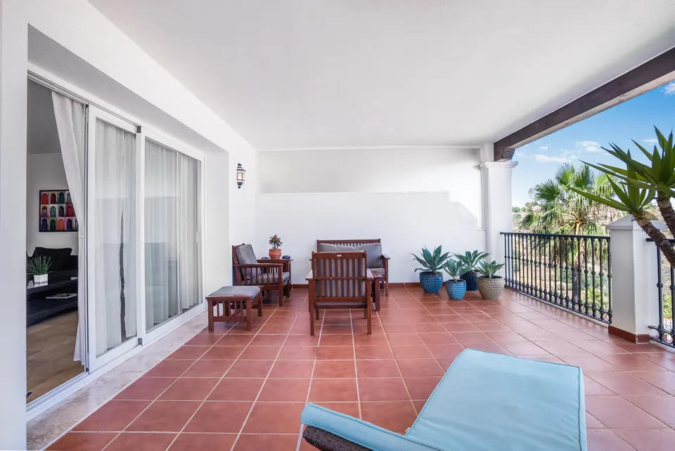 Terrace, Suncoaster · 2023 · shoot 3