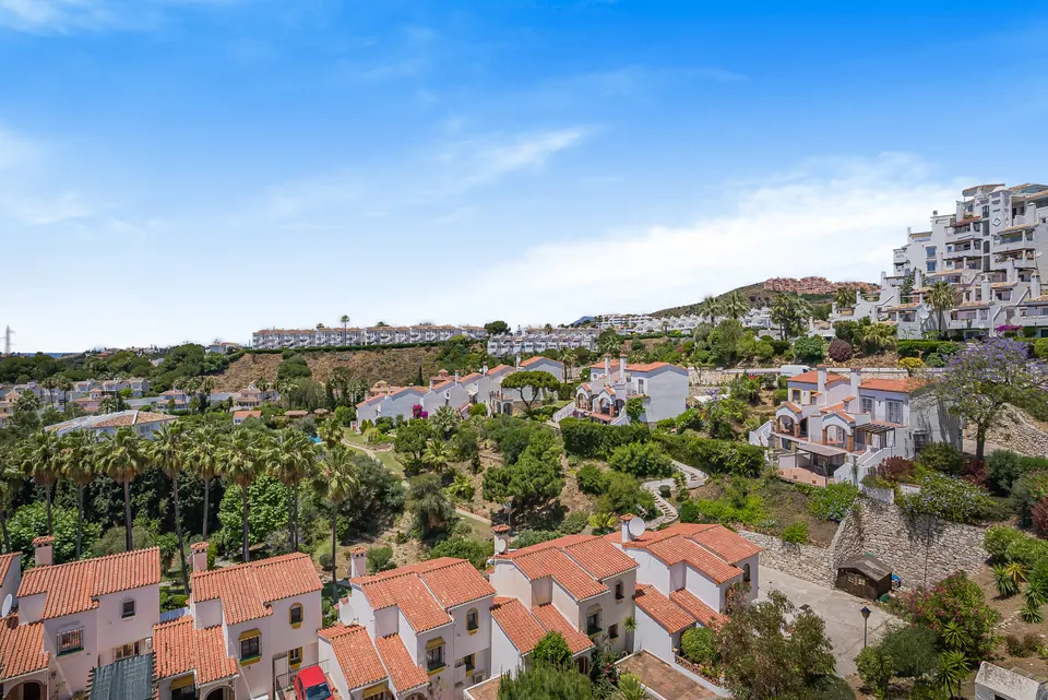 Aerial view, Suncoaster · 2023 · shoot 4