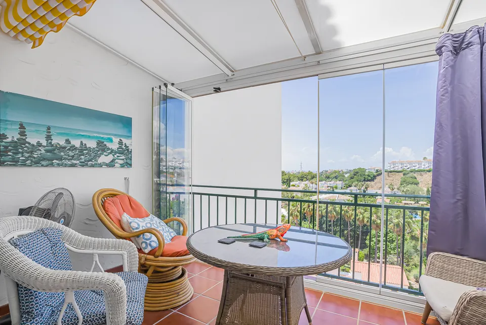 Terrace, Suncoaster · 2023 · shoot 4