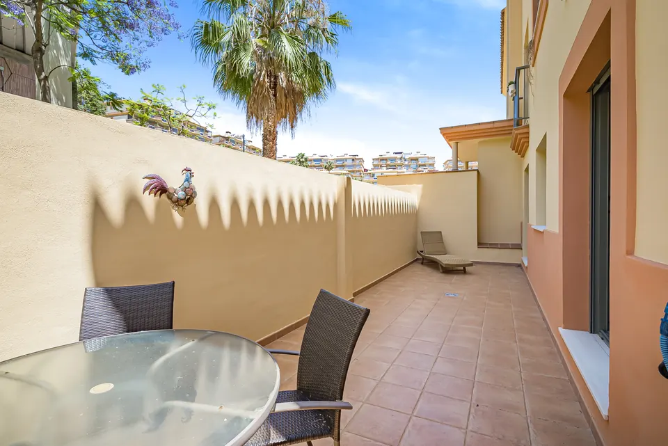 Terrace, Suncoaster · 2023 · shoot 5