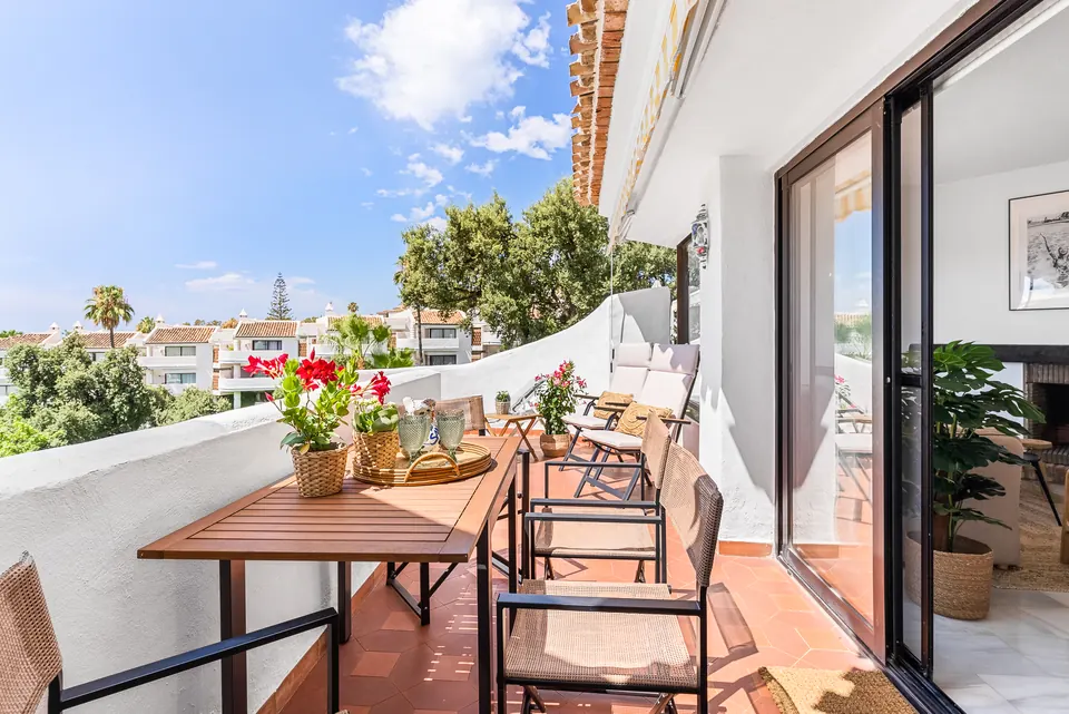 Terrace, Suncoaster · 2023 · shoot 9