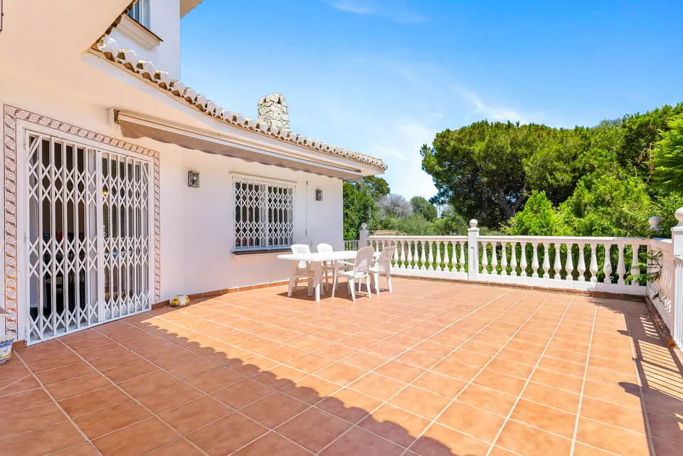 Terrace, Suncoaster · 2023 · shoot 10