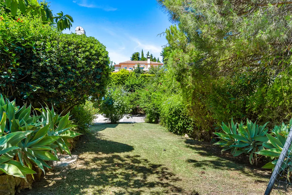 Garden, Suncoaster · 2023 · shoot 10