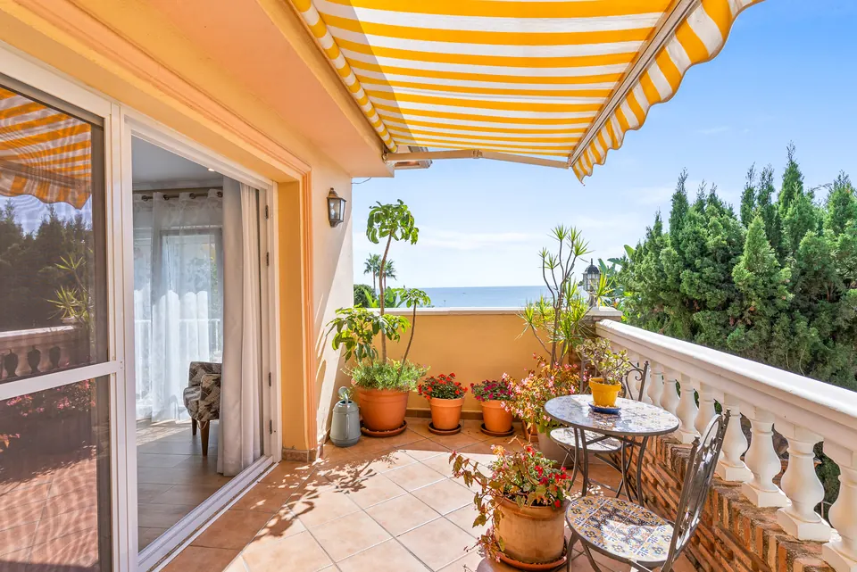 Terrace, Suncoaster · 2023 · shoot 11