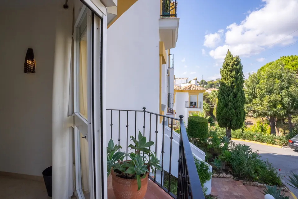 Terrace, Suncoaster · 2023 · shoot 12
