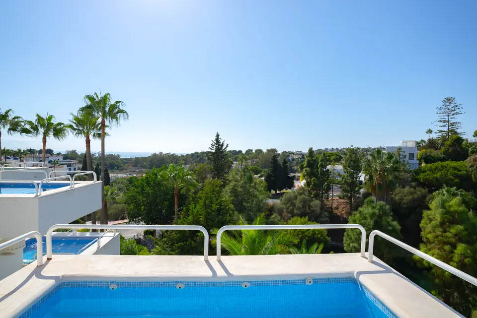 Pool, Suncoaster · 2023 · shoot 13