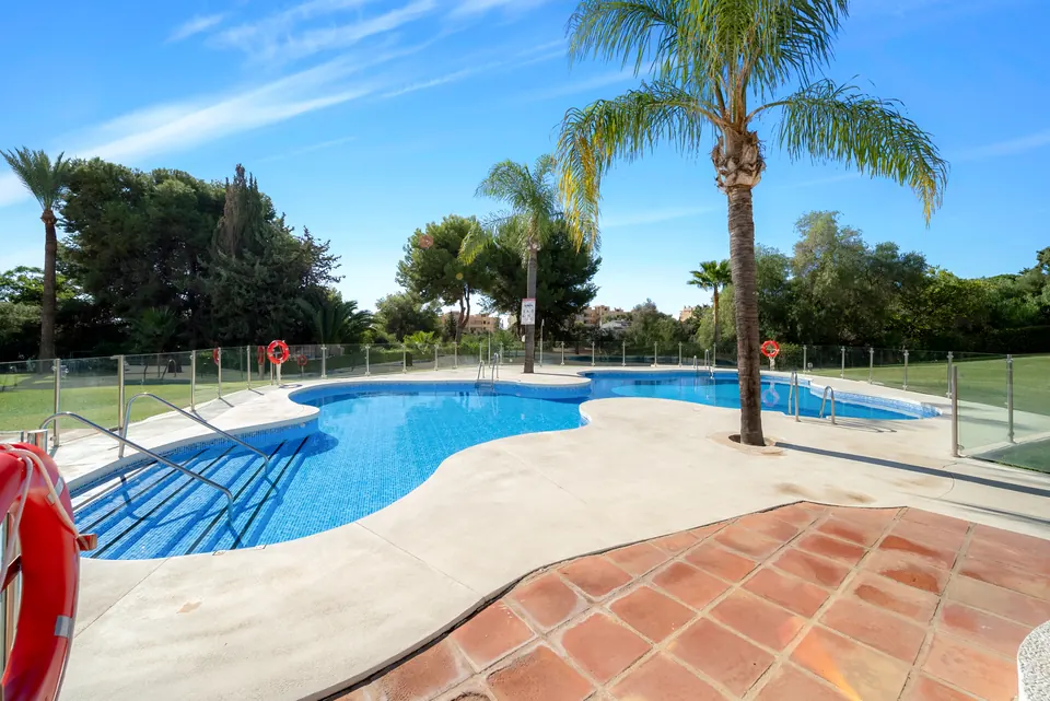 Pool, Suncoaster · 2023 · shoot 14